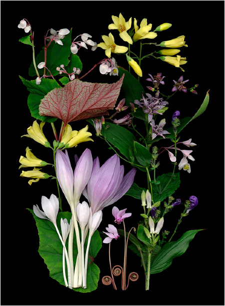 Selections From Natura... Ellen Page